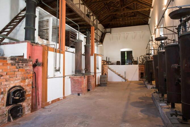 Historic Winery Tour and Tasting in Bombarral - Why a Bombarral Winery Tour Beats a Standard Lisbon Day Trip