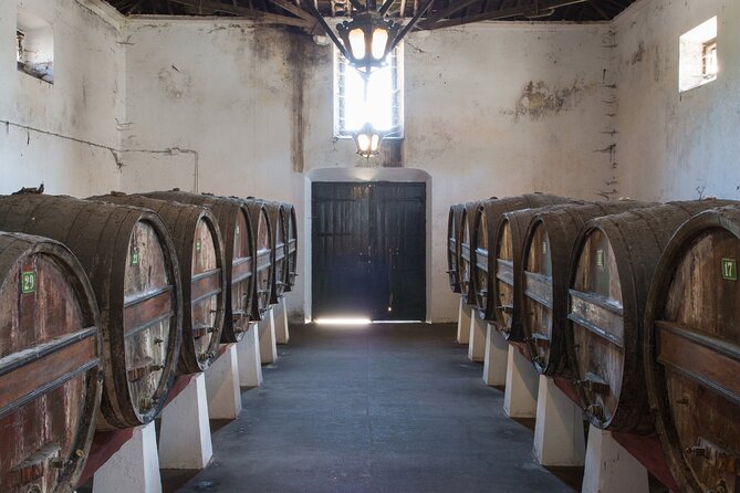 Historic Winery Tour and Tasting in Bombarral - Historic Distillery Rooms and the Copper Alembic Stills