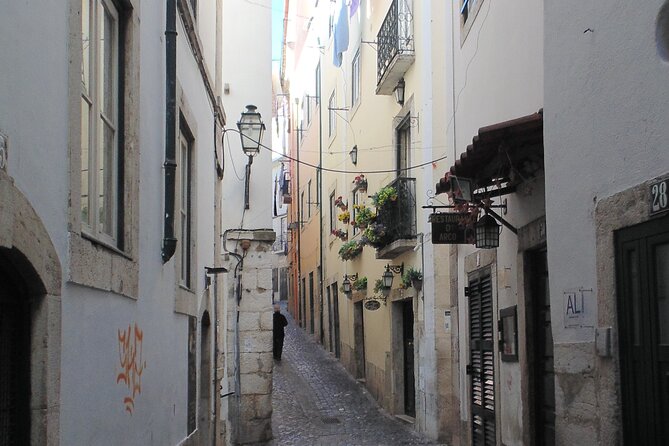 Historical Private Walking Tour of Lisbon - Alfama viewpoints: Santa Luzia, Portas do Sol, and Amália’s mural