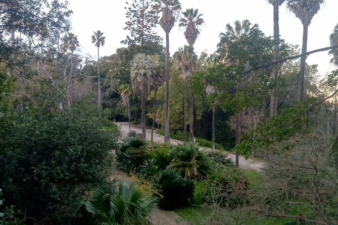 History-mistery of Lisbon (secrets societies and black arts) - Starting at Av. da Liberdade, the 6 pm route that feels like a story