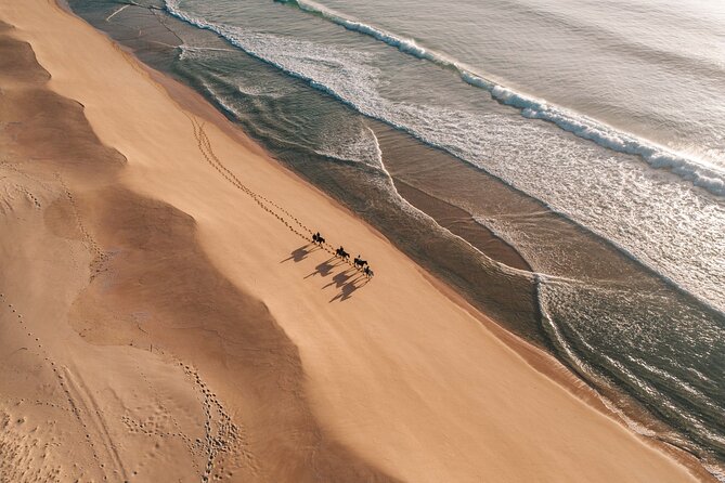 Horse Riding on the Beach with private transfer from Lisbon - What’s included, what’s not, and how to plan your day