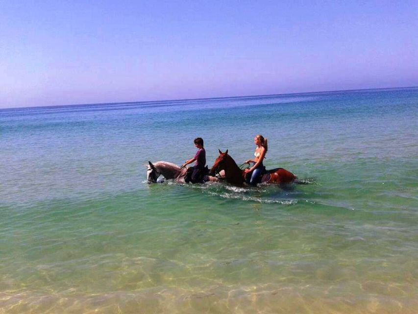 Horse riding on the beach, with private transfer from Lisbon - Who This Tour Suits, and Who Should Skip It