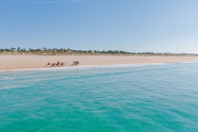 Horse riding on the beach, with private transfer from Lisbon - Lisbon Pickup and the Realities of Driving Time