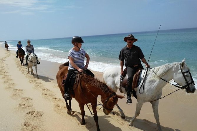 Horse Riding Tour on the Beach Lisbon region - Key things to know before you go
