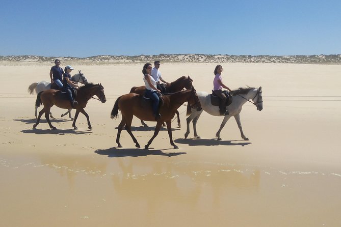 Horse Riding Tour on the Beach Lisbon region - Arriving at the stables around 11:15, and why the horses matter