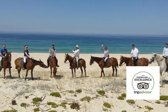 Horse Riding Tour on the Beach Lisbon region - The 1h30 Comporta ride: rice fields, then white sand beaches