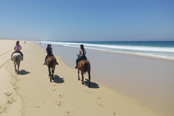 Horse Riding Tour on the Beach Lisbon region - Guide experience: the role of Paulo and clear first-timer coaching