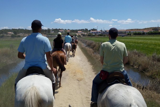 Horse Riding Tour on the Beach Lisbon region - Price and value: what $337.43 buys you in Lisbon