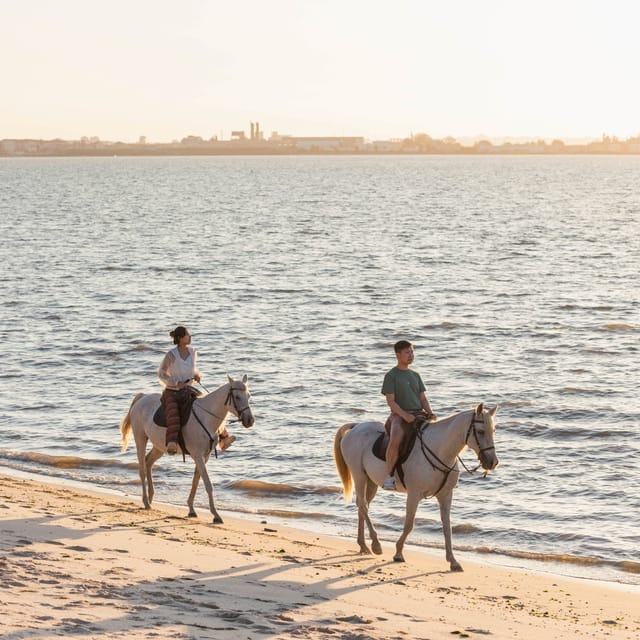 Horseback Riding On The Beach At Sunset - Key takeaways before you ride