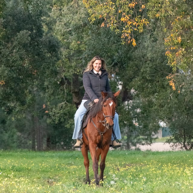 Horseback Riding On The Beach At Sunset - Practical rhythm for your ride day