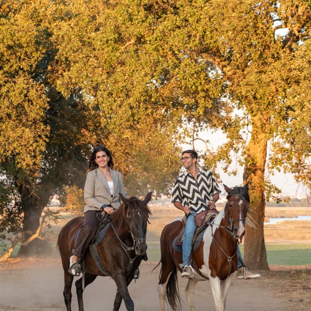 Horseback Riding On The Beach At Sunset - Why a Tagus River beach ride feels different at sunset