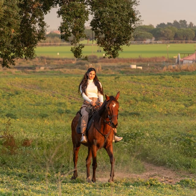 Horseback Riding On The Beach At Sunset - Riding the beach at Gaio Rosário: what the 1.5 hours actually feels like