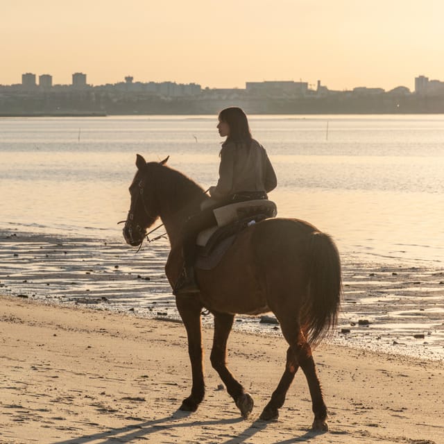 Horseback Riding On The Beach At Sunset - Sunset expectations: gorgeous light, but plan for sightline variation