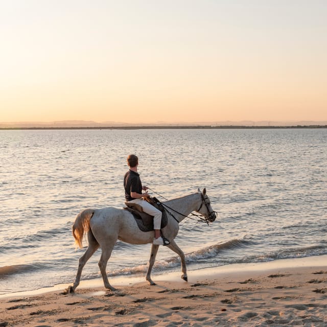 Horseback Riding On The Beach At Sunset - Horse handling and safety: calm mounts and first-timer-friendly cues
