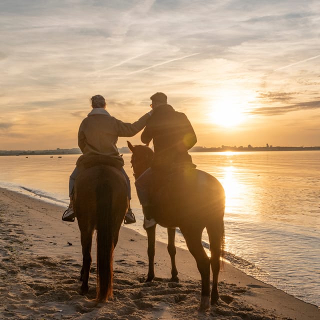 Horseback Riding On The Beach At Sunset - Pátio do Tejo: where you start, and why the welcome matters