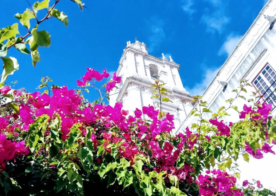 Lisbon: 7 Hills Panoramic Guided Tour by E-Bike - Price and Value: Paying for Guide Time Plus Bike and Helmet