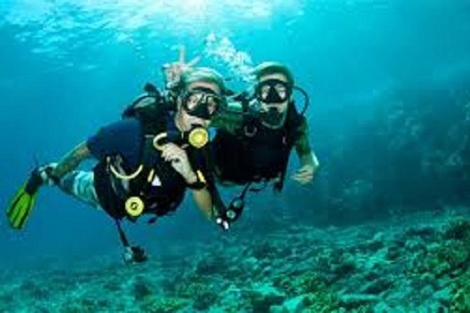 Lisbon Active Tourism - Diving in Arrábia - Sesimbra - Your day at a glance: 9:00 start, 3 hours in the water