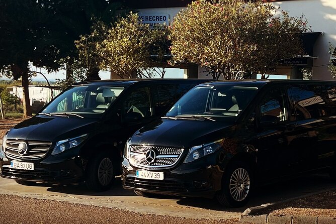 Lisbon Airport Private Transfer - Timing Your Phone and Mobile Ticket for a Smooth Pickup