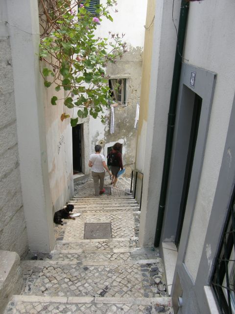 Lisbon: Alfama and São Jorge Castle Quarters Walking Tour - Cetária and Olisipo, spotting Roman leftovers in everyday streets