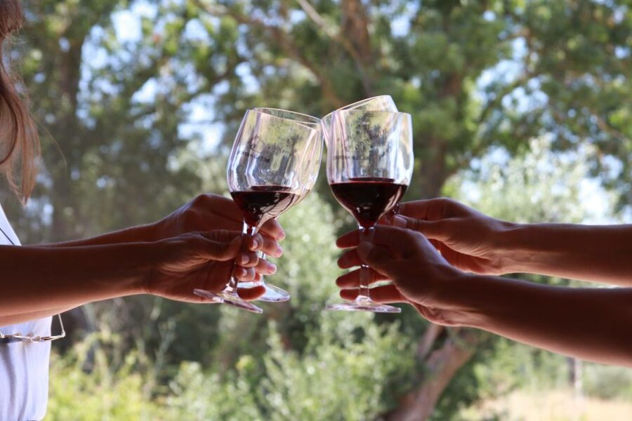 Lisbon: Arrábida and Sesimbra Day Trip with Wine - Key things that make this day trip work