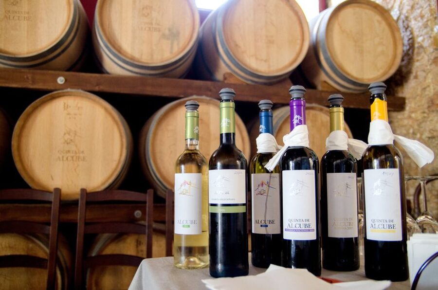 Lisbon: Arrábida and Sesimbra Day Trip with Wine - Price and logistics: is $75 a good deal for this 8-hour mix?