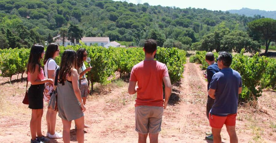 Lisbon: Arrábida and Sesimbra Day Trip with Wine - Vasco da Gama Bridge and the Palmela pause with castle views