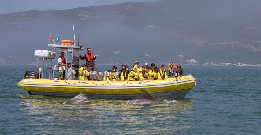 Lisbon: Arrábida Natural Park Dolphin Watching Boat Tour - Getting to Sesimbra: pickup option vs meeting in the port