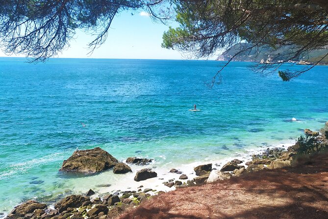 Lisbon: Arrábida Park, Sesimbra, Christ the King private tour - Sesimbra seaside town: fishing-town charm with real walking time