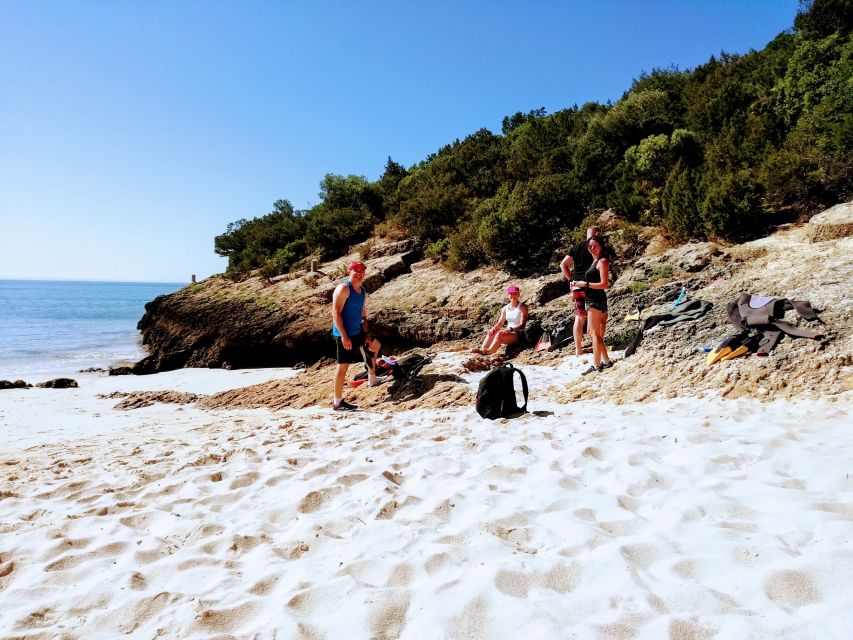Lisbon: Arrábida Snorkeling Adventure - Key takeaways before you go
