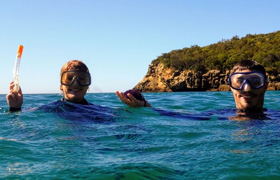 Lisbon: Arrábida Snorkeling Adventure - Practical expectations about weather, sea, and plan changes