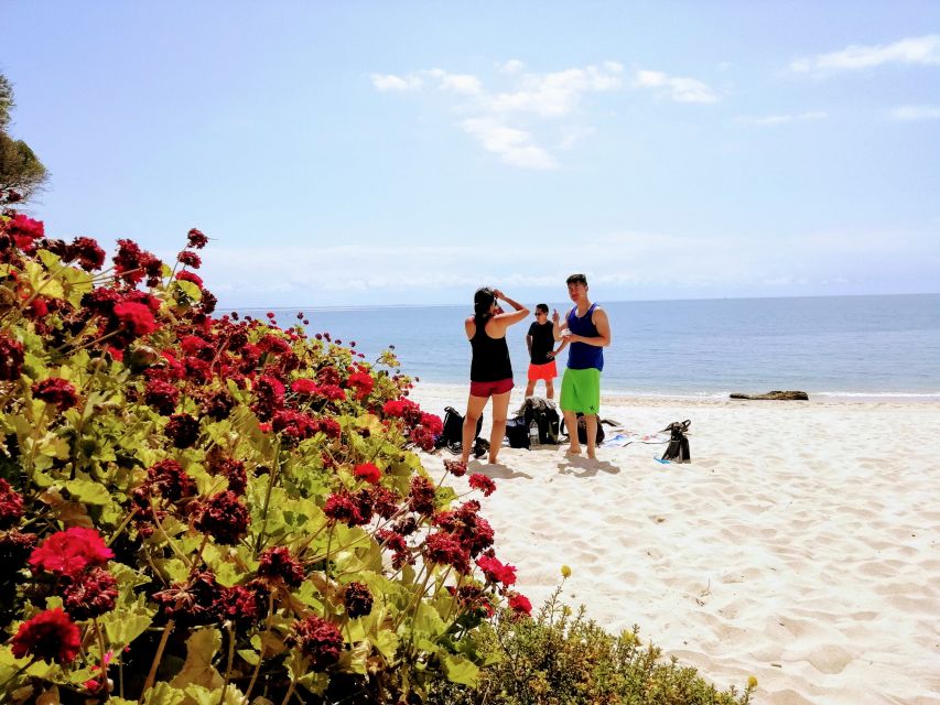 Lisbon: Arrábida Snorkeling Adventure - Snorkeling session, caves, rocky bottoms, and cephalopods