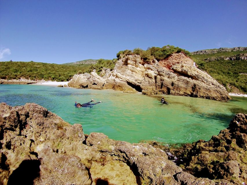 Lisbon: Arrábida Snorkeling Adventure - Guide and group size, small-group makes a difference