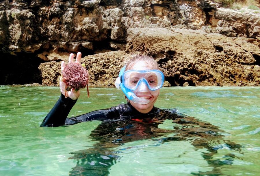 Lisbon: Arrábida Snorkeling Adventure - Fossil cliffs and coastal viewpoints in Arrábida Natural Park