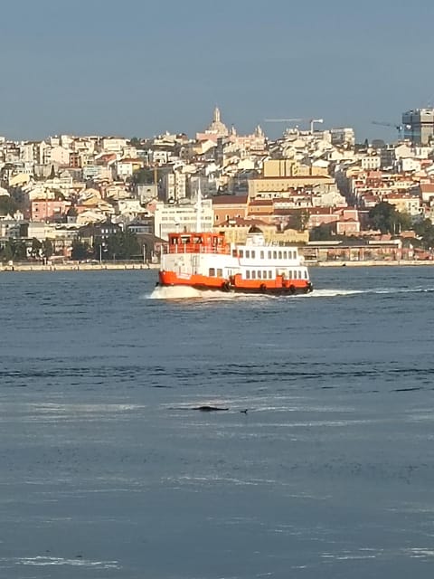Lisbon: Belem, Jeronimos Monastery, and Coach Museum Tour - Who this Lisbon Belem tour fits best
