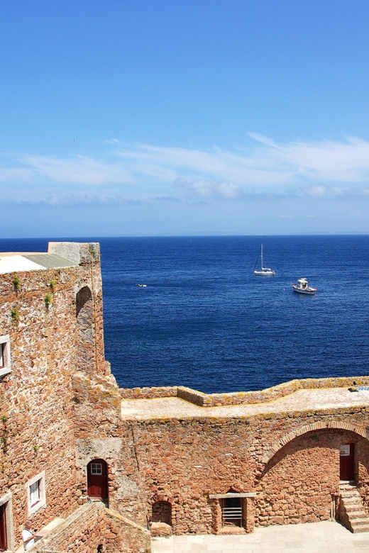 Lisbon: Berlenga Island Full Day Tour - Lunch Plans on a Small Island: One Restaurant, Picnic-Friendly Thinking