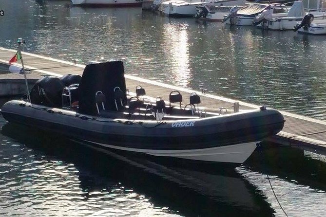 Lisbon : Birdwatching Boat Tour - Tagus Estuary - The birds you’re most likely to see, and why photo distance can disappoint