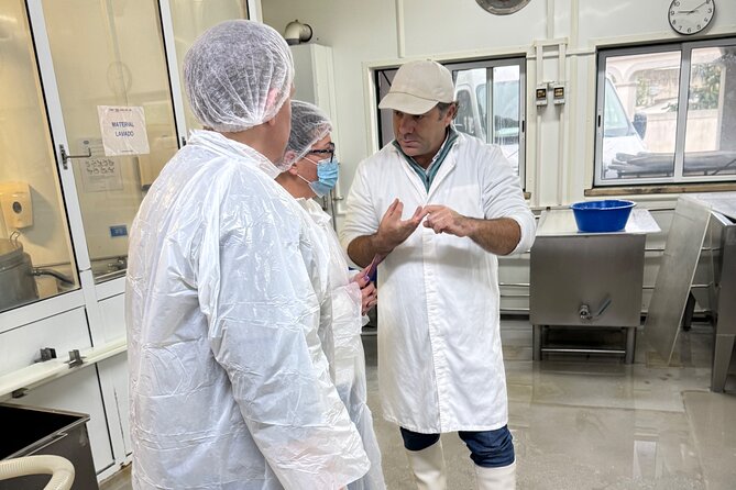 Lisbon Cheese Factory Visit, Wine Tasting and Tile Painting Tour - A long, food-first day outside Lisbon’s main loop