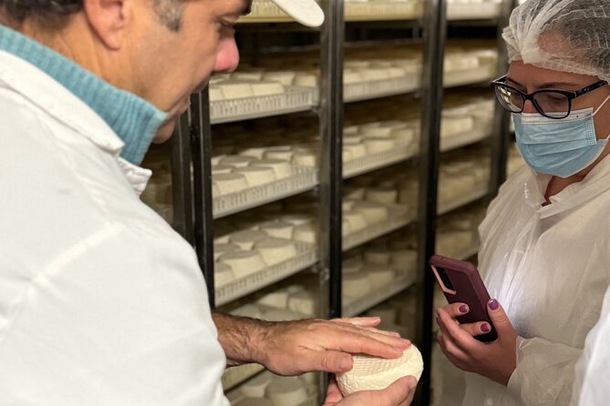 Lisbon Cheese Factory Visit, Wine Tasting and Tile Painting Tour - Winery visit, 4 wines and 4 cheeses that teach your palate