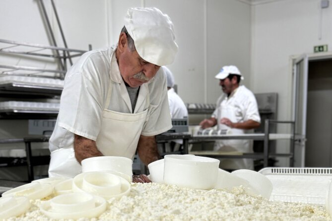 Lisbon Cheese Factory Visit, Wine Tasting and Tile Painting Tour - Why this tour feels intimate, even with a full day