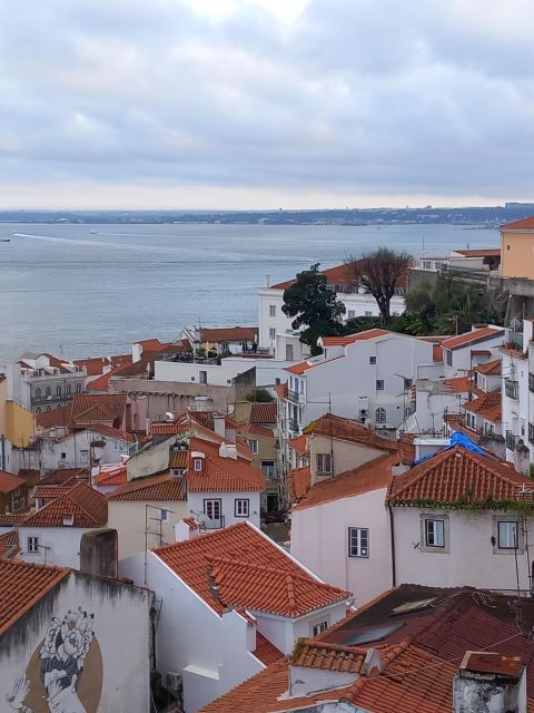 Lisbon: Chiado, Bairro Alto, and Principe Real Tuk Tuk Tour - Principe Real: 19th-Century Mansions, Design Shopping, and a Calm Garden Stop