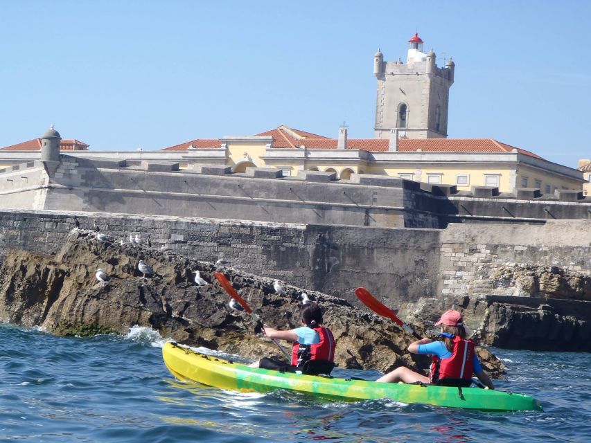 Lisbon: Coast Guided Kayak Tour - Key Things You’ll Notice on This Kayak Tour