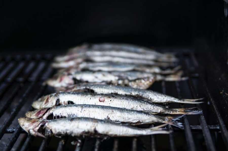 Lisbon: Cruise to the Beach with BBQ, Open Bar and Music - Tagus River BBQ Cruise: the vibe you can actually feel