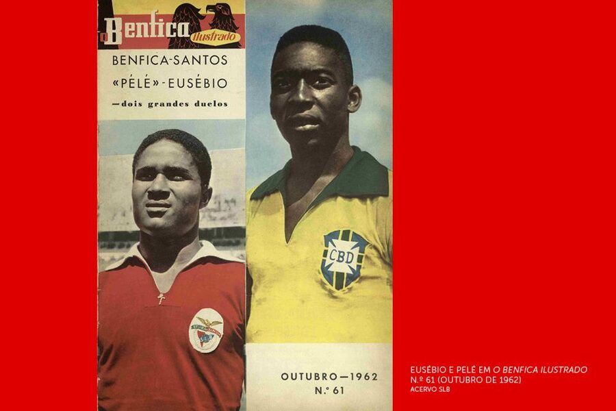 Lisbon: Customized Luz Stadium and Guided Museum Tour - Who should book this tour in Lisbon, and who might skip it