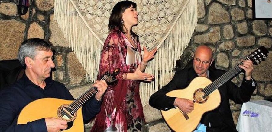 Lisbon Dinner with Fado Show and Sights by Night - How the 5-hour night tour flows from pickup to Alfama dinner