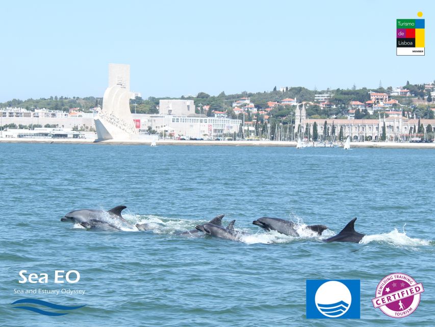 Lisbon: Dolphin Watching with Marine Biologist - Bugio Lighthouse and the Fort Area: Lisbon’s Coast From the Sea