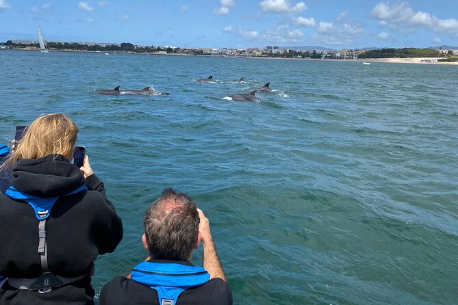 Lisbon: Dolphin Watching with Marine Biologist - Small Group - Doca Stops and Photo Moments, Fort of São Lourenço do Bugio and Cascais