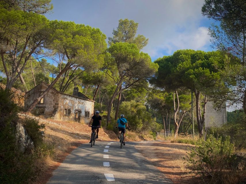 Lisbon: E-bike Trip from the Sintra Mountains to Cascais Sea - Hotel Pickup, Then You Trade City Noise for Coastal Air