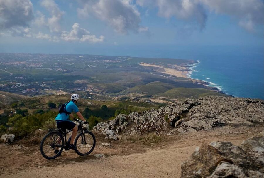 Lisbon: E-bike Trip from the Sintra Mountains to Cascais Sea - Cascais Market to the Sintra Forest: Sheep, Horses, Gardens, and Real Countryside