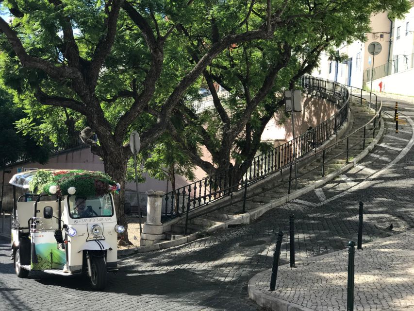 Lisbon: Famous 28 Tram Line Guided Private Tour by Tuk-Tuk - Price, group size, and what $141 buys you in real terms