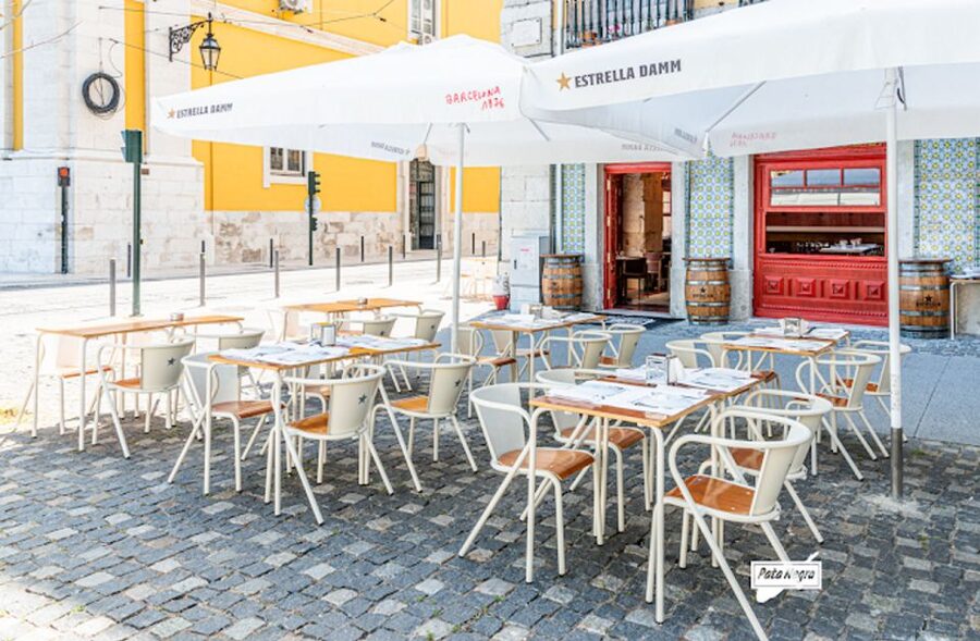 Lisbon Food and Wine Tastings (3 Restaurants) - Who this Lisbon tasting package suits best